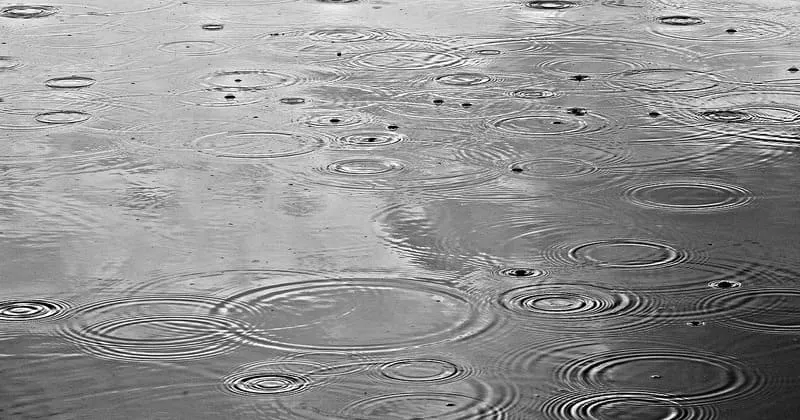 朝の雨粒に揺れる水面の波紋、静かに弱い雨の気配を写す