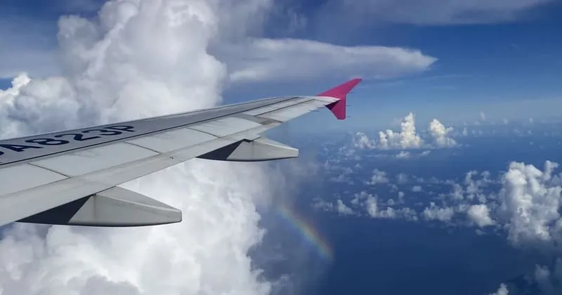 雲の上を飛ぶ石垣島行きの飛行機の翼