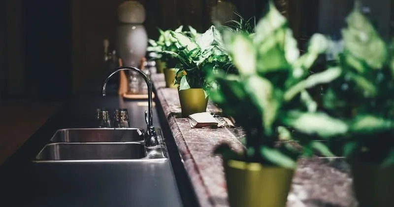 静かな台所のシンクと観葉植物、夜の始まり