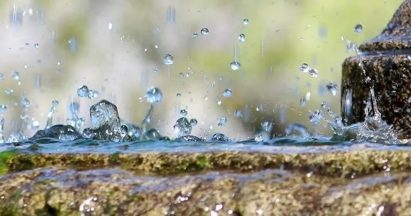 石縁で跳ねる水滴と春のやわらかな光