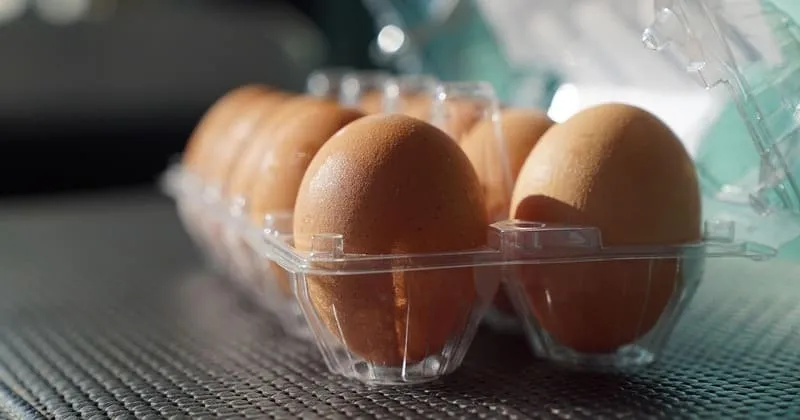 透明パックに並んだ茶色い卵