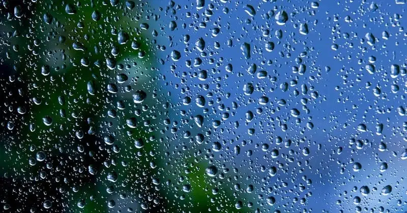 雨粒で曇った窓越しににじむ青い空と木々