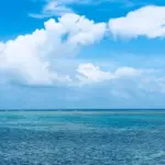 浅瀬の青い海と水平線、夏雲が速く流れる朝