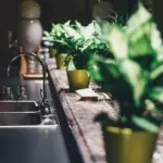 弱い灯りの台所シンクと緑、静かな夜の家事の準備