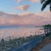石垣島で通勤に使っていた海沿いの道と移住前に確認したい生活導線のイメージ