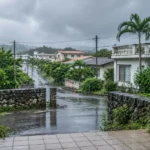 石垣島の梅雨で雨に濡れた住宅街を玄関から見る様子
